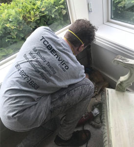90610197_2921954581219937_8485554530086289408_c mold inspection