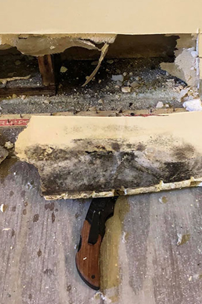 air quality testing for mold