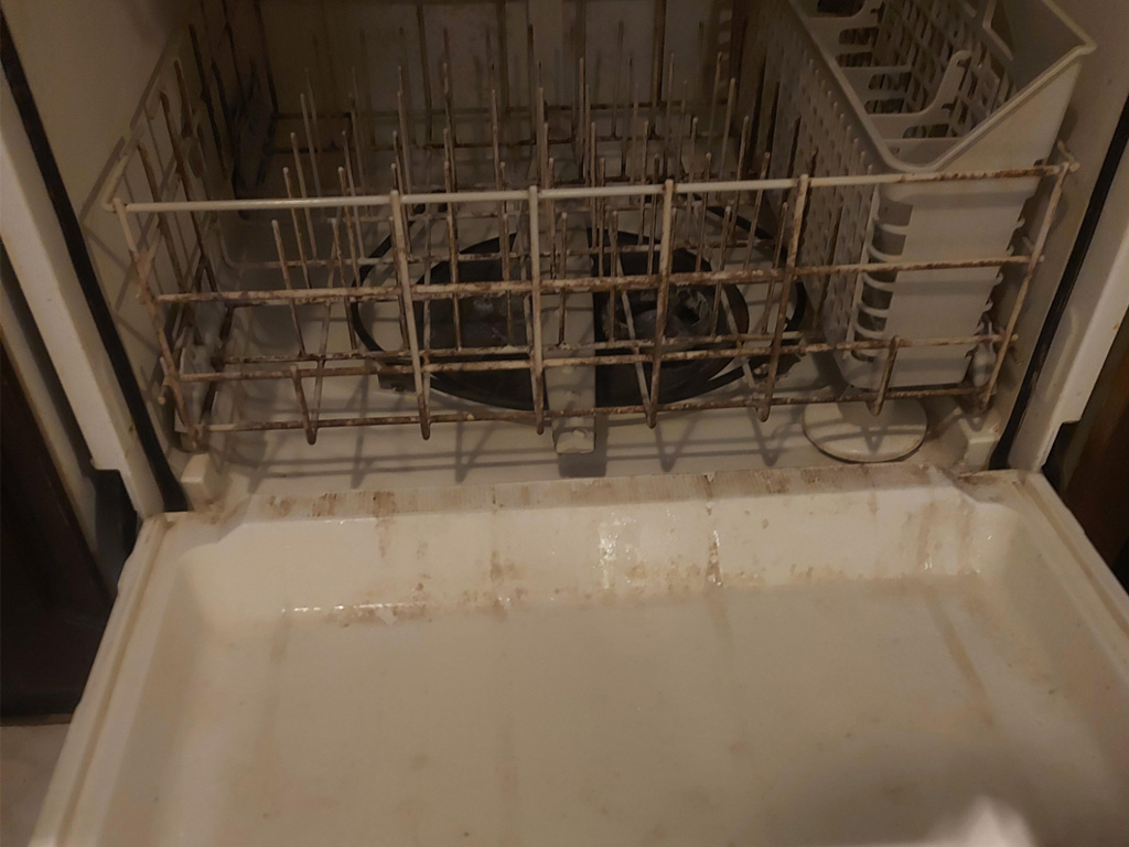 mold contamination