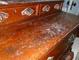 mold contamination