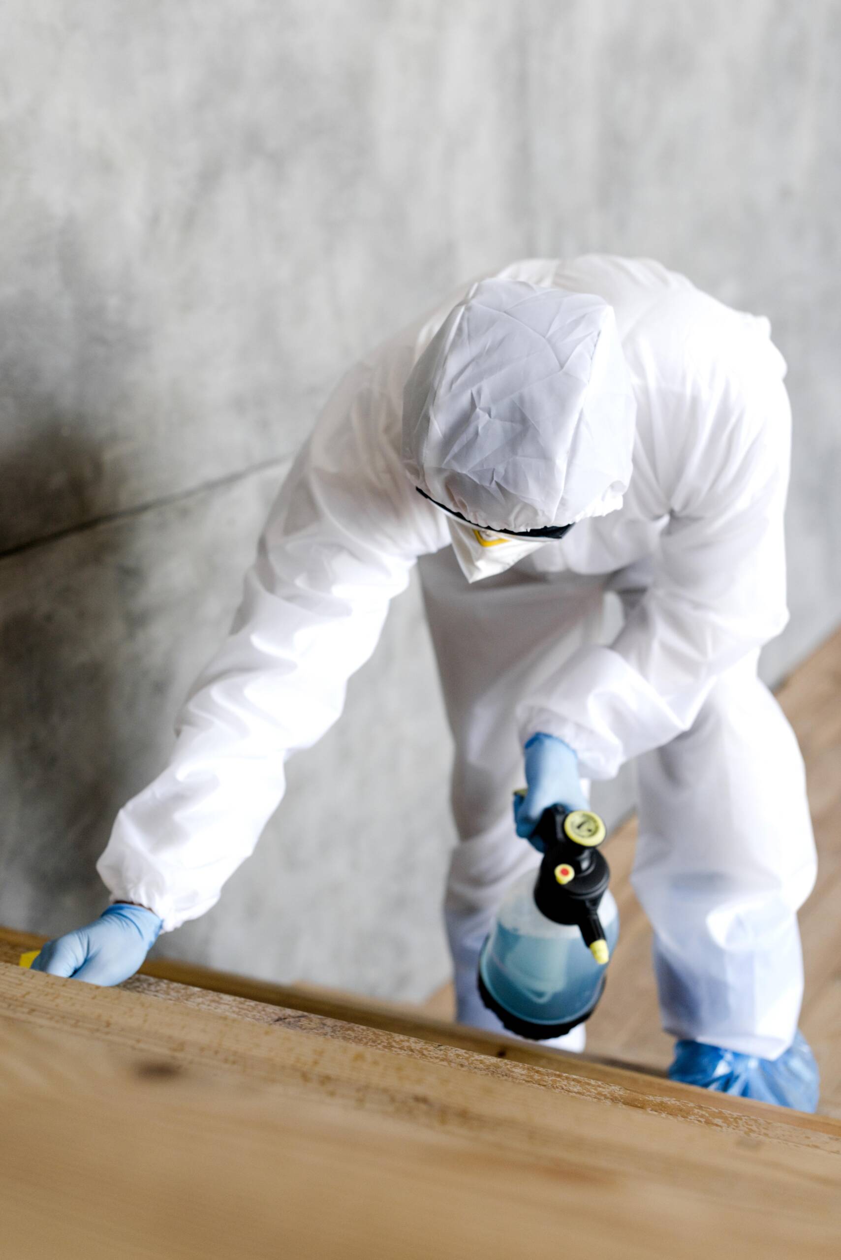 mold testing st augustine fl
