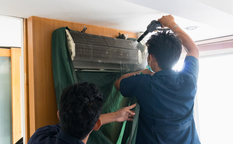 mold in commercial spaces