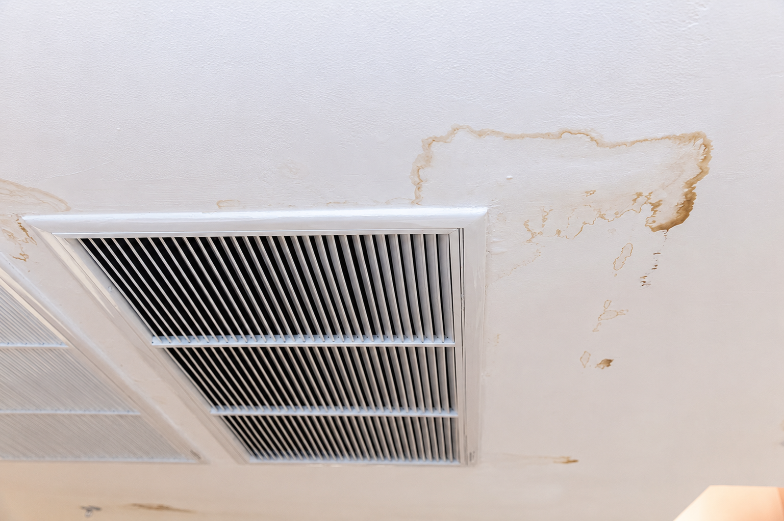 mold in commercial spaces
