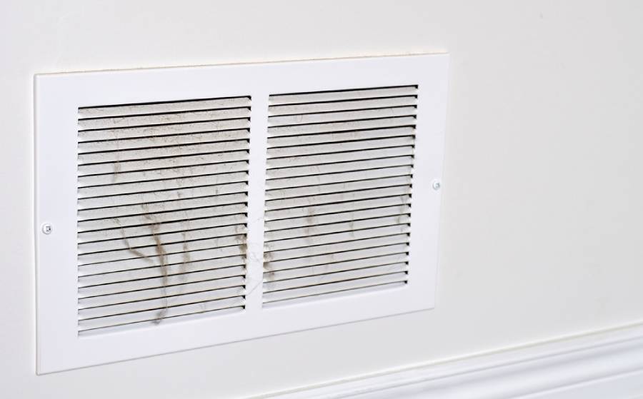 mold in commercial spaces